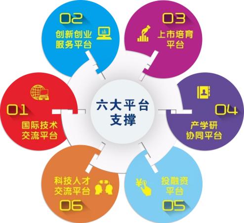 广州琶洲 数字经济核心区的网络技术服务答卷